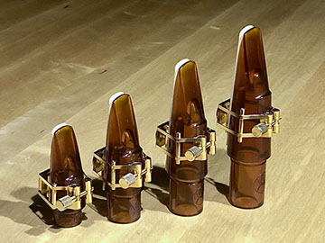 Francois Louis mouthpiece